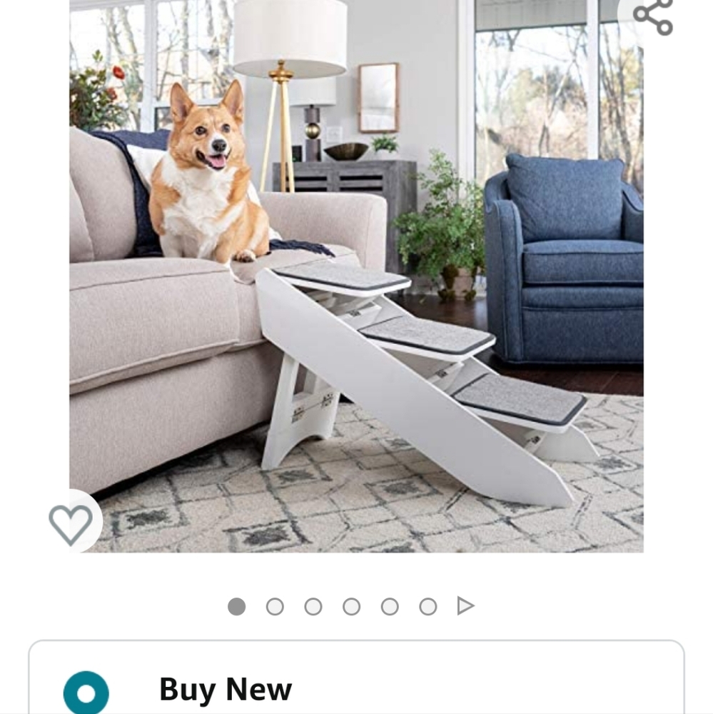 Pet steps